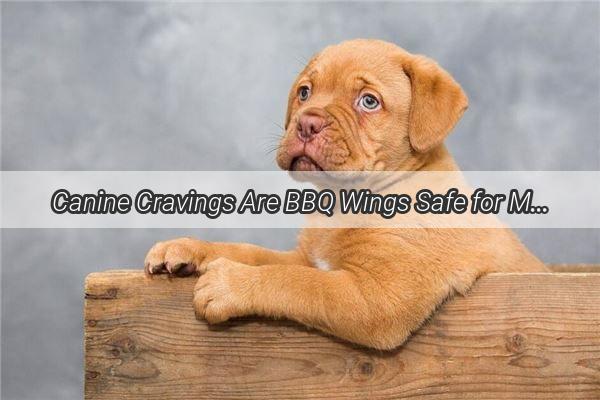 Canine Cravings Are BBQ Wings Safe for Mans Best Friend